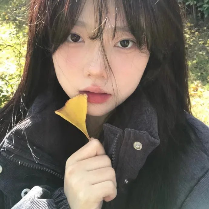 纽约灾星第二季